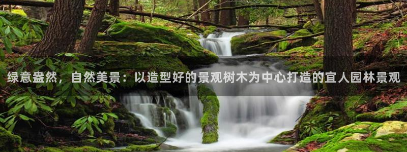新宝gg注册cqdellar：绿意盎然，自然美景：以造型好的景观树木为中心打造的宜人园林景观