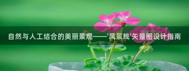 新宝gg有规律么