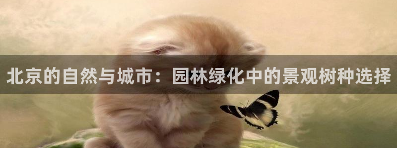 新宝gg重庆：北京的自然与城市：园林绿化中的景观树种选择
