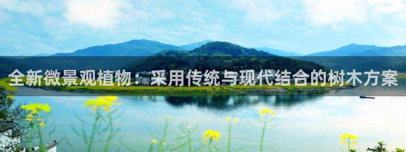 新宝gg 502：全新微景观植物：采用传统与现代结合的树木方案