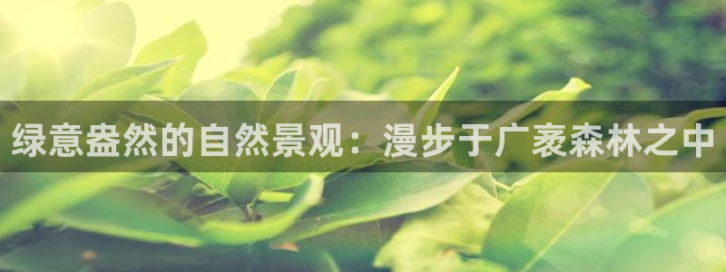 新宝gg娱乐上皇巢网