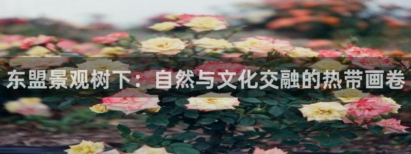 新宝GG之家：东盟景观树下：自然与文化交融的热带画卷