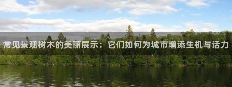 新宝gg靠谱吗