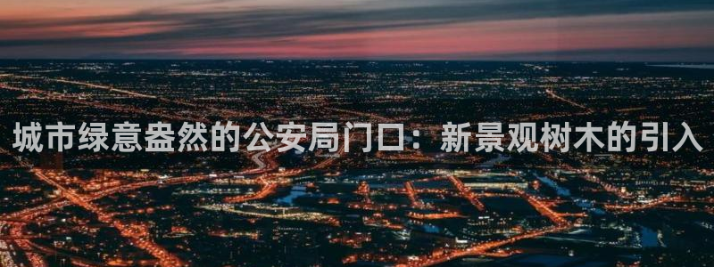 新宝gg娱乐平台