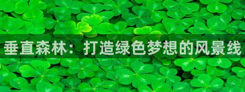 新宝新宝gg开户流程