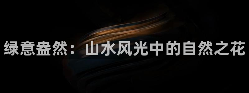 新宝gg创造奇迹下载