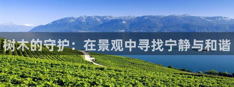 新宝GG手机客户端
