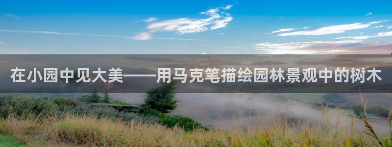 新宝gg如何做到总代理
