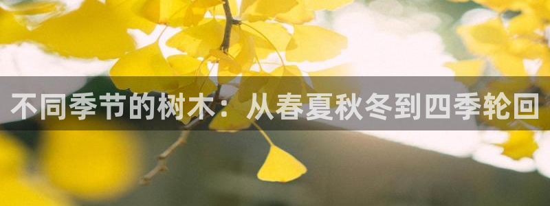 新宝gg龙虎