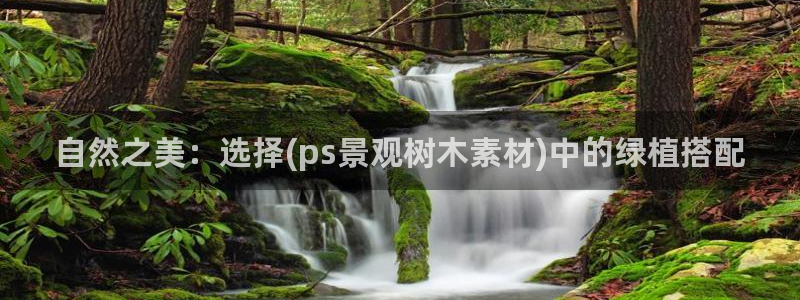gg新宝时时彩