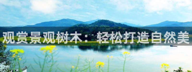 新宝gg官方注册找上级:观赏景观树木:轻松打造自然美