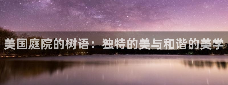 新宝gg下载
