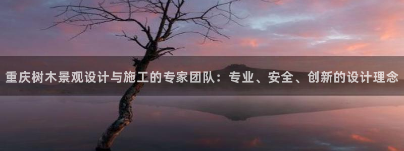 新 宝gg