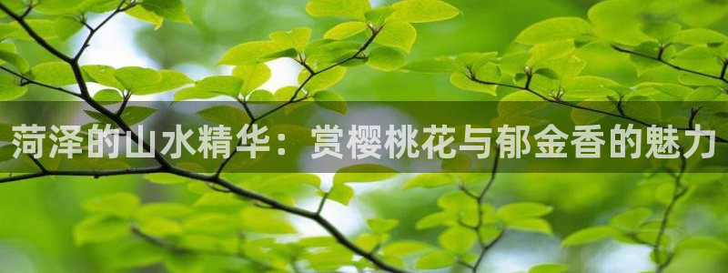 新宝奇迹GG5