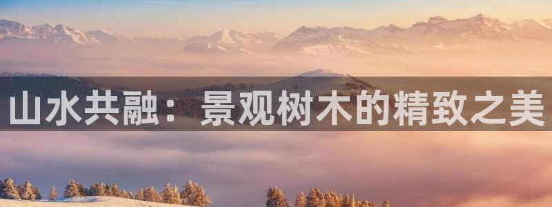 新浪新闻新宝gg