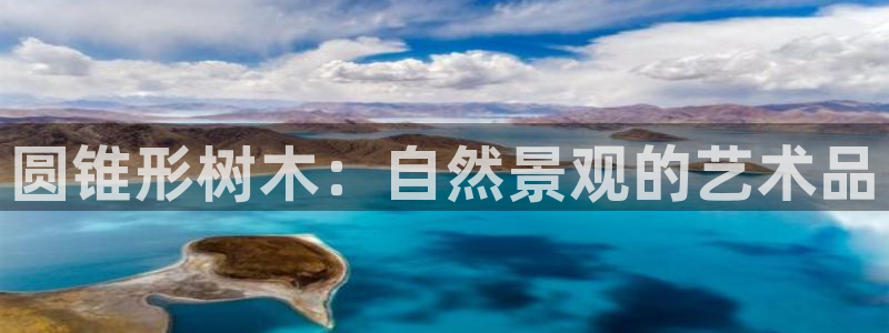 新宝gg平台怎么样