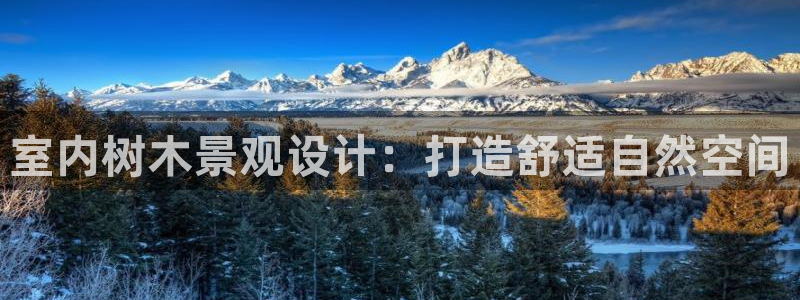 新宝gg打发：室内树木景观设计：打造舒适自然空间